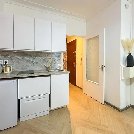 公寓 - Wifi, Ac, Hyper Centre, 4 Pers 尼斯